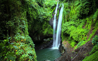 Amazing Bali Waterfall Tour