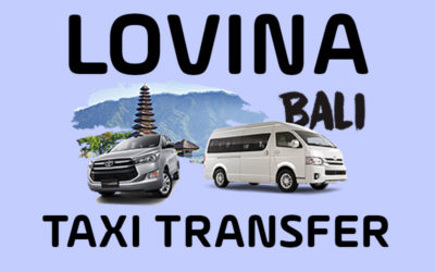 Lovina Taxi Transfer