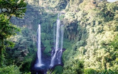 Sekumpul Waterfall Trek — North Bali, Indonesia