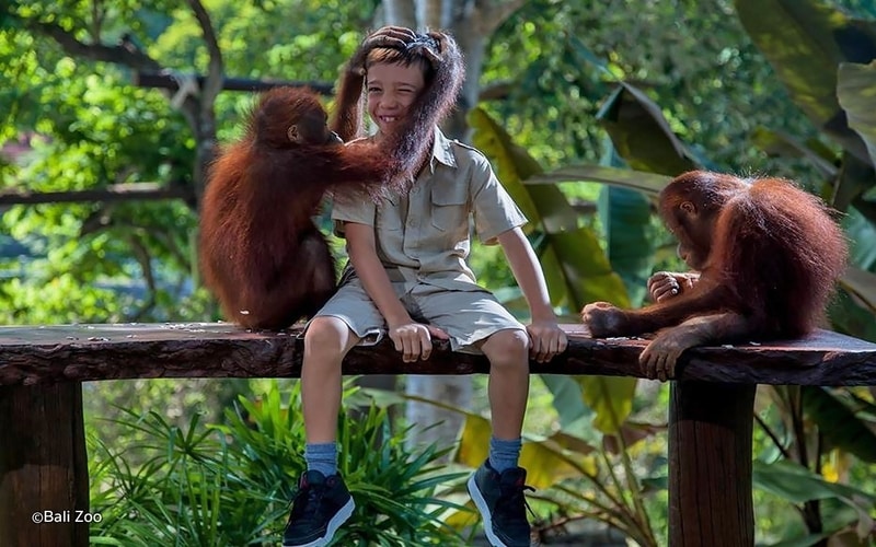 FIVE TOP RATED ZOOS IN BALI - Lovina Bali Taxi Service