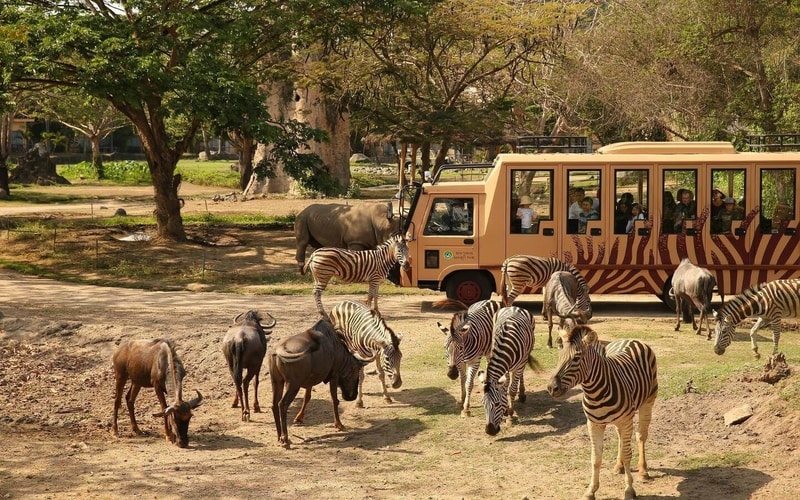FIVE TOP RATED ZOOS IN BALI - Lovina Bali Taxi Service